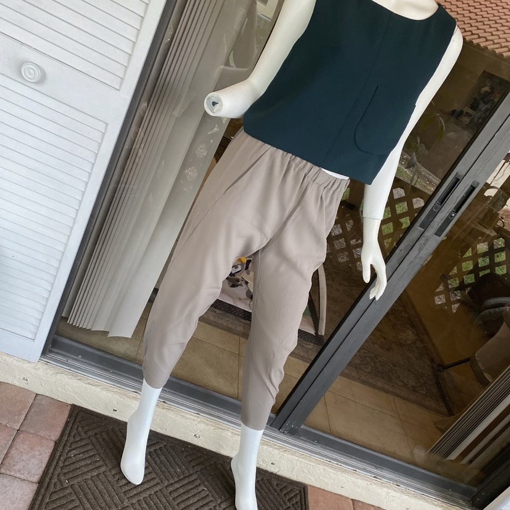 Aritzia Dexter pant